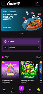 Casiny Casino Review A Comprehensive Look at an Online Gaming Destination