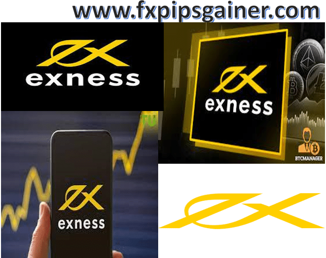 Exploring Exness Global Markets Your Gateway to Forex Trading