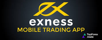 Exploring Exness Global Markets Your Gateway to Forex Trading