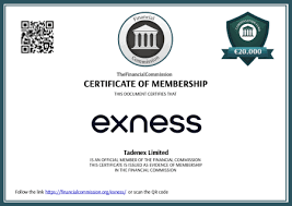 Is Exness Broker Regulated Understanding the Safety of Your Investments Is Exness Broker Regulated Understanding the Safety of Your Investments