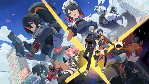 National Council On Problem Playing