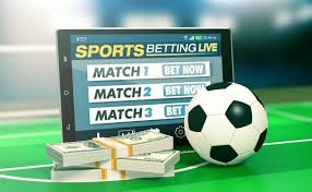 Explore Exciting Opportunities with 333bet