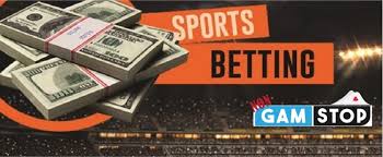 Exploring Sports Betting Sites Not On Major Platforms