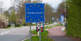 Oude Koeienrassen in Nederland Een Blessing voor Boeren en Natuur
