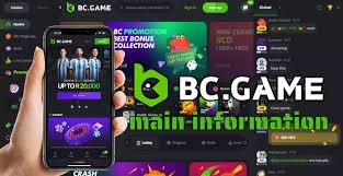 Experience the Future of Gaming with BC.Game Crypto Casino