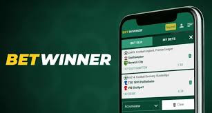 Comprehensive Guide to BetWinner Deposit Options -845308386