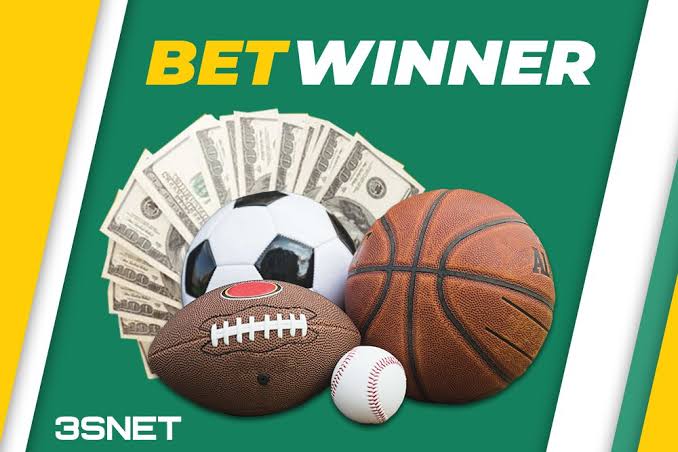How to Navigate the BetWinner Login Process A Comprehensive Guide