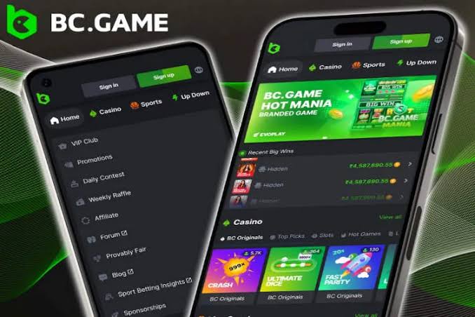 A Comprehensive Guide to BC.Game App Your Ultimate Gaming Experience